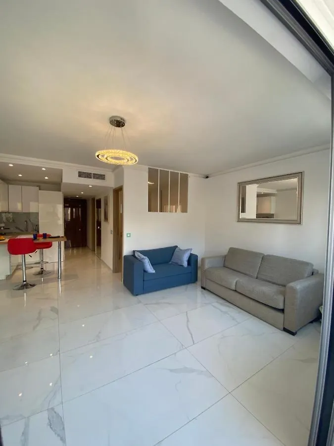 Le Royal, Spacious Seaside Apartment Rooftop And Pool Nice France